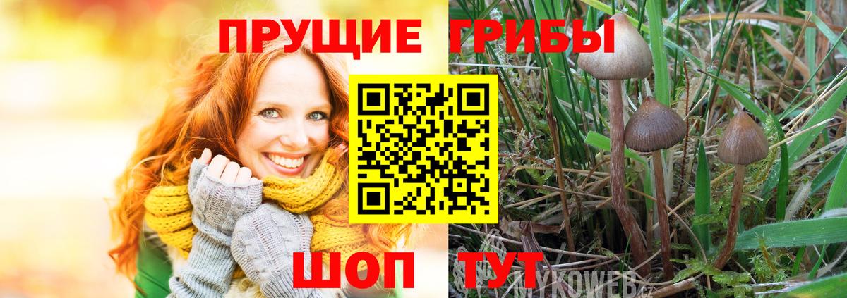 Псилоцибиновые грибы Cubensis  Вход с VPN  Печора 