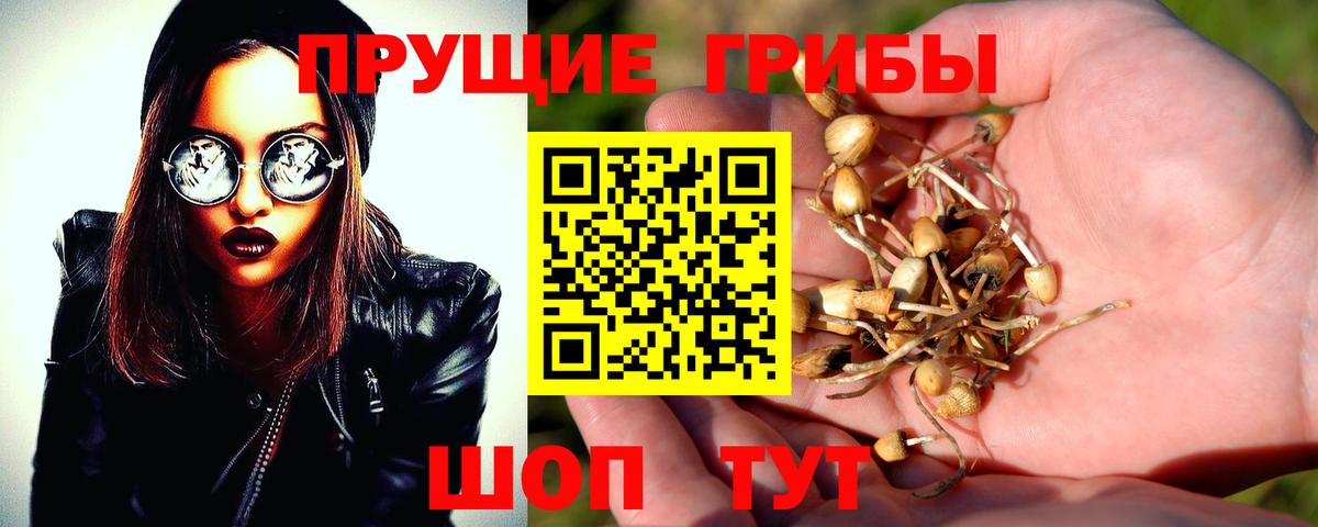 Галлюциногенные грибы GOLDEN TEACHER Печора